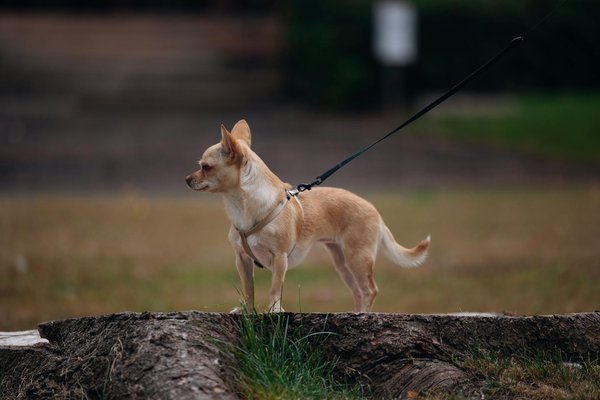 How to Choose a Trustworthy Online Casino: An Expert's Guide